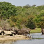 fotos-sudafrica-kruger-005